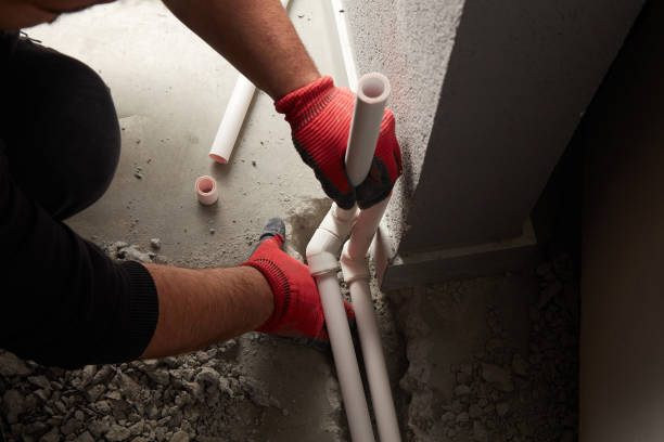 Best Plumbing System Maintenance  in Loving, NM